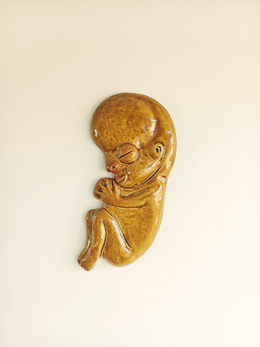 Lucky Wall Feotus With Nicotine Glaze