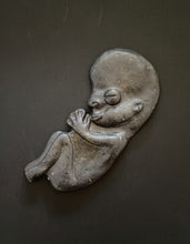 Load image into Gallery viewer, Lucky Wall Foetus