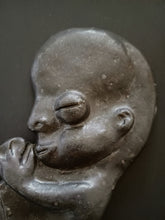 Load image into Gallery viewer, Lucky Wall Foetus